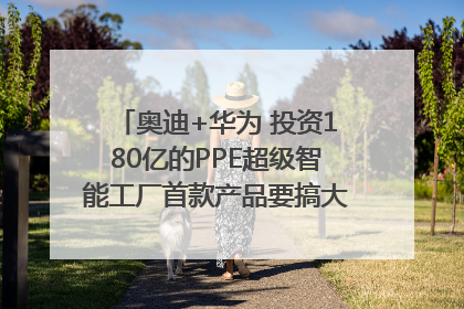 奥迪+华为 投资180亿的PPE超级智能工厂首款产品要搞大事情？｜粤港澳车展