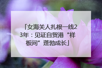 女海关人扎根一线23年：见证自贸港“样板间”蓬勃成长