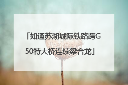 如通苏湖城际铁路跨G50特大桥连续梁合龙