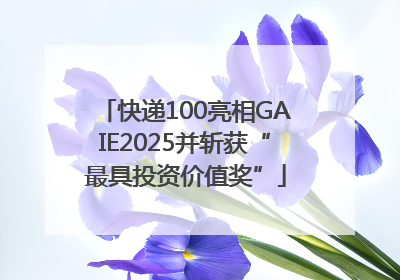 快递100亮相GAIE2025并斩获“最具投资价值奖”