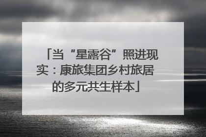 当“星露谷”照进现实：康旅集团乡村旅居的多元共生样本