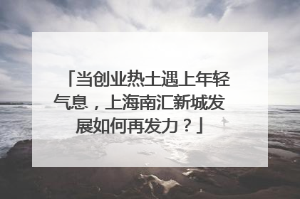 当创业热土遇上年轻气息，上海南汇新城发展如何再发力？