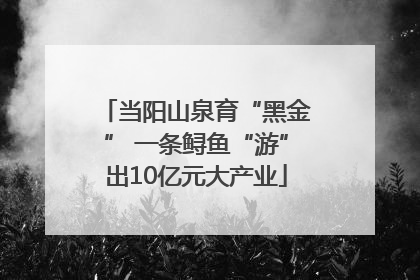 当阳山泉育“黑金” 一条鲟鱼“游”出10亿元大产业