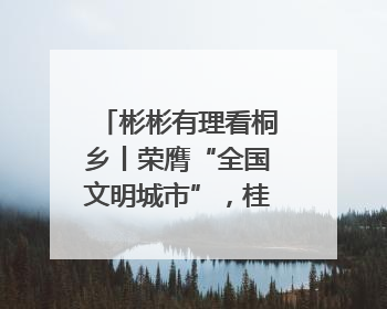 彬彬有理看桐乡丨荣膺“全国文明城市”，桂冠之上刻着一种追求