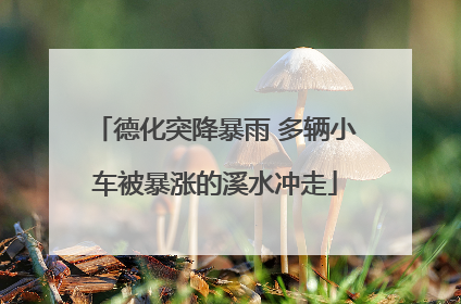 德化突降暴雨 多辆小车被暴涨的溪水冲走