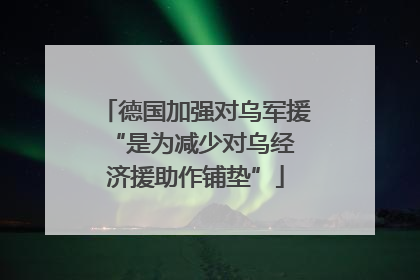 德国加强对乌军援 “是为减少对乌经济援助作铺垫”