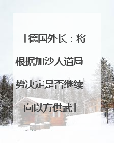 德国外长：将根据加沙人道局势决定是否继续向以方供武