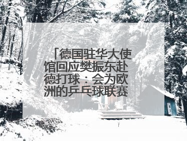 德国驻华大使馆回应樊振东赴德打球：会为欧洲的乒乓球联赛带来新的光彩