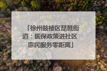 徐州鼓楼区琵琶街道：医保政策进社区 惠民服务零距离