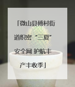 微山县傅村街道织密“三夏”安全网 护航丰产丰收季