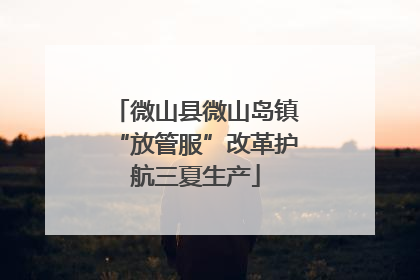 微山县微山岛镇“放管服”改革护航三夏生产