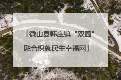 微山县韩庄镇“双圈”融合织就民生幸福网