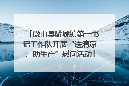 微山县驩城镇第一书记工作队开展“送清凉、助生产”慰问活动
