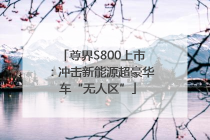 尊界S800上市：冲击新能源超豪华车“无人区”