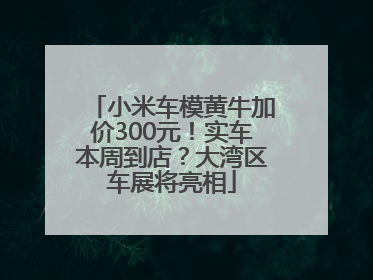 小米车模黄牛加价300元！实车本周到店？大湾区车展将亮相