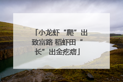 小龙虾“爬”出致富路 稻虾田“长”出金疙瘩