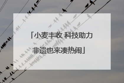 小麦丰收 科技助力 非遗也来凑热闹