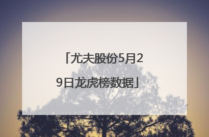 尤夫股份5月29日龙虎榜数据
