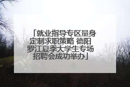 就业指导专区量身定制求职策略 德阳罗江夏季大学生专场招聘会成功举办
