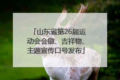 山东省第26届运动会会徽、吉祥物、主题宣传口号发布