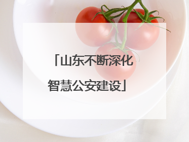 山东不断深化智慧公安建设