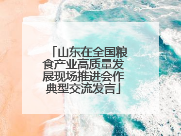 山东在全国粮食产业高质量发展现场推进会作典型交流发言