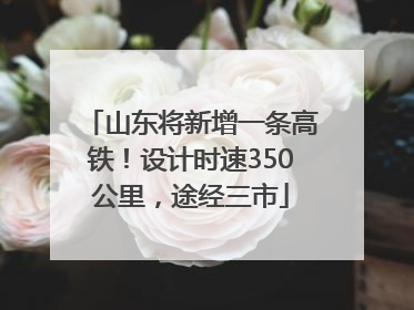山东将新增一条高铁！设计时速350公里，途经三市