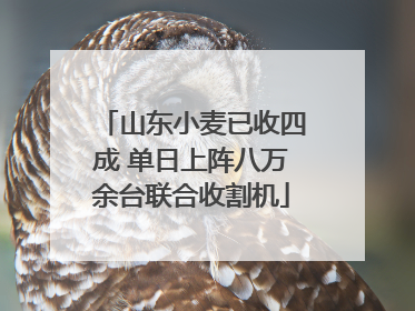 山东小麦已收四成 单日上阵八万余台联合收割机