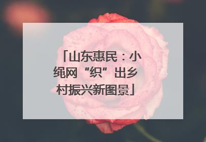 山东惠民：小绳网“织”出乡村振兴新图景