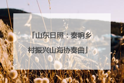 山东日照：奏响乡村振兴山海协奏曲