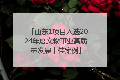 山东1项目入选2024年度文物事业高质量发展十佳案例