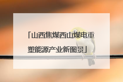 山西焦煤西山煤电重塑能源产业新图景