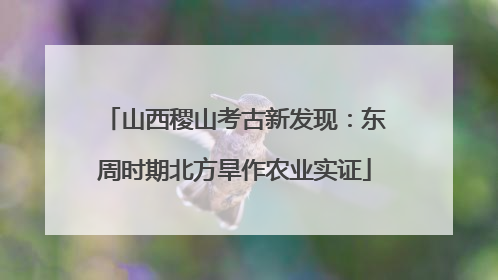 山西稷山考古新发现：东周时期北方旱作农业实证