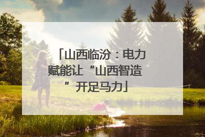 山西临汾：电力赋能让“山西智造”开足马力