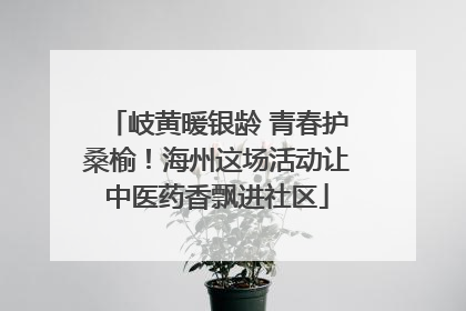岐黄暖银龄 青春护桑榆！海州这场活动让中医药香飘进社区