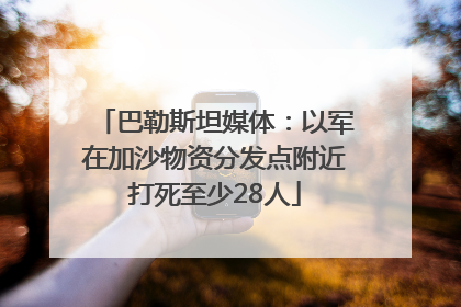 巴勒斯坦媒体：以军在加沙物资分发点附近打死至少28人