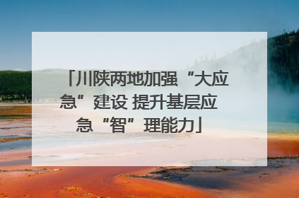 川陕两地加强“大应急”建设 提升基层应急“智”理能力