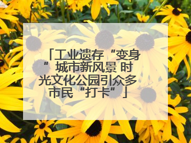工业遗存“变身”城市新风景 时光文化公园引众多市民“打卡”