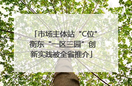 市场主体站“C位” 衡东“一区三园”创新实践被全省推介
