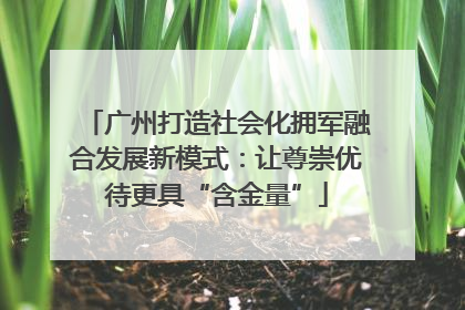 广州打造社会化拥军融合发展新模式：让尊崇优待更具“含金量”