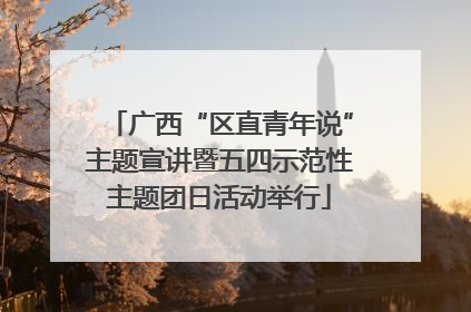 广西“区直青年说”主题宣讲暨五四示范性主题团日活动举行