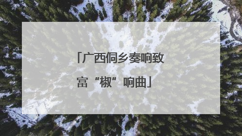 广西侗乡奏响致富“椒”响曲