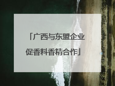 广西与东盟企业促香料香精合作