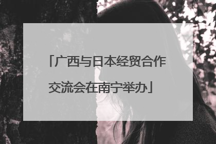 广西与日本经贸合作交流会在南宁举办