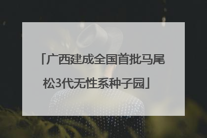 广西建成全国首批马尾松3代无性系种子园