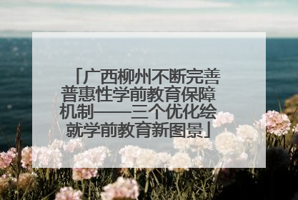 广西柳州不断完善普惠性学前教育保障机制——三个优化绘就学前教育新图景