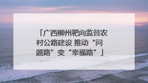 广西柳州靶向监督农村公路建设 推动“问题路”变“幸福路”