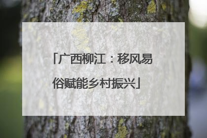 广西柳江：移风易俗赋能乡村振兴