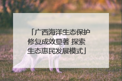 广西海洋生态保护修复成效显著 探索生态惠民发展模式