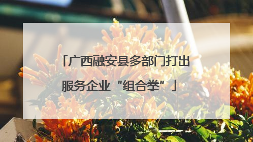 广西融安县多部门打出服务企业“组合拳”